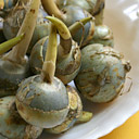 備後特産品研究会